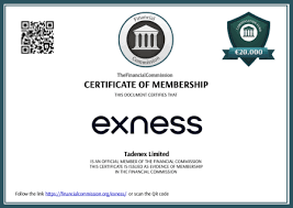 Understanding the Exness Rebate Program for Maximum Profitability