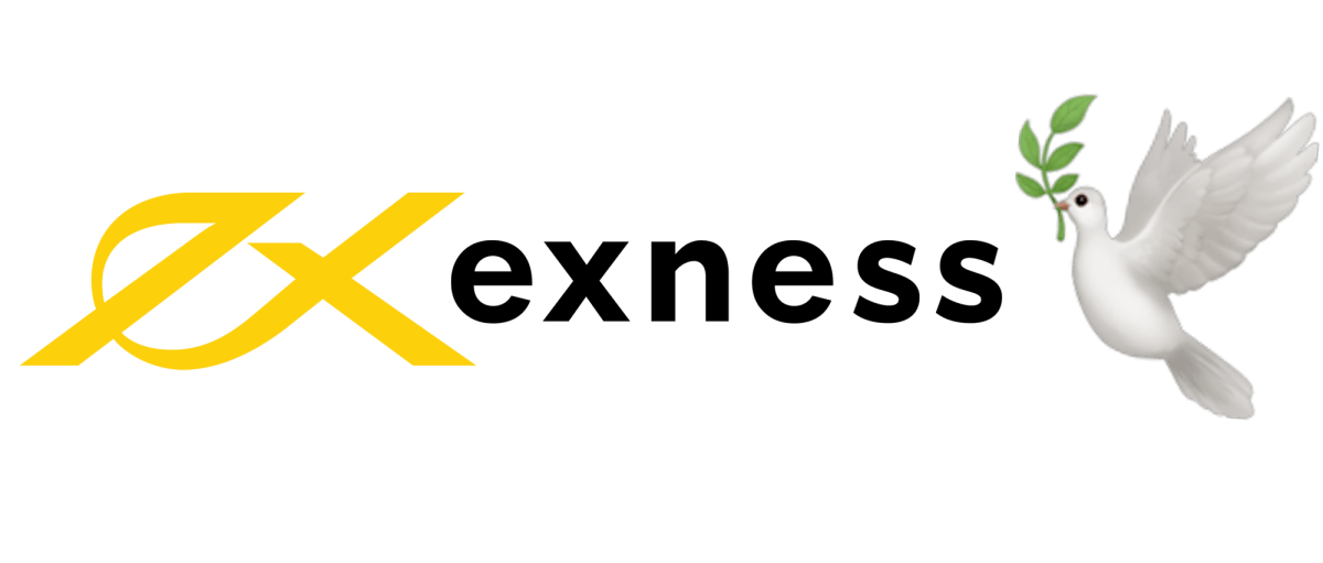 Understanding the Exness South Africa Trading Platform